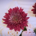 DefineFast Weddings KH Wedding 2024 11 DefineFast Weddings KH Wedding 2024 11