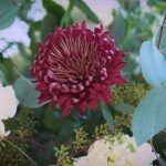 DefineFast Weddings KH Wedding 2024 7 DefineFast Weddings KH Wedding 2024 7