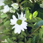 DefineFast Weddings LB 2024 Wedding 18